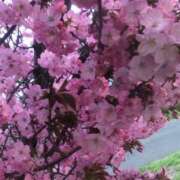 ヒメ日記 2025/04/27 14:53 投稿 かづき 熟女の風俗最終章 仙台店