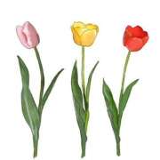 ヒメ日記 2025/02/21 23:32 投稿 はな 奥様プリモ