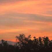 ヒメ日記 2025/08/23 10:56 投稿 るな 池袋しろパラ