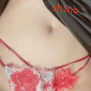 ヒメ日記 2024/12/09 08:00 投稿 しの TSUBAKI(つばき)土浦店