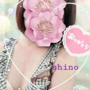 ヒメ日記 2025/04/15 12:30 投稿 しの TSUBAKI(つばき)土浦店