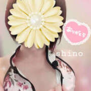 ヒメ日記 2026/04/01 17:42 投稿 しの TSUBAKI(つばき)土浦店