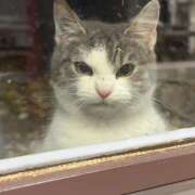 ヒメ日記 2025/11/01 15:00 投稿 ララ 姫路ラビット