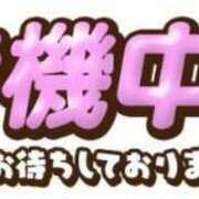 ヒメ日記 2023/12/27 11:18 投稿 ほなみ 名古屋ちゃんこ