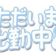 ヒメ日記 2023/12/29 00:40 投稿 ほなみ 名古屋ちゃんこ