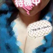 ヒメ日記 2025/03/29 14:17 投稿 ほなみ 名古屋ちゃんこ