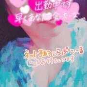 ヒメ日記 2025/03/30 10:57 投稿 ほなみ 名古屋ちゃんこ