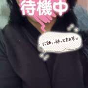 ヒメ日記 2025/03/30 12:57 投稿 ほなみ 名古屋ちゃんこ