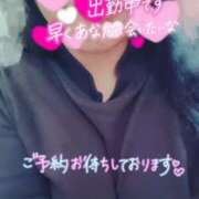 ヒメ日記 2025/03/30 14:50 投稿 ほなみ 名古屋ちゃんこ