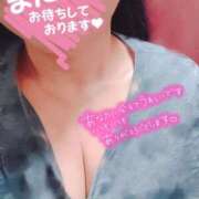 ヒメ日記 2025/04/05 14:37 投稿 ほなみ 名古屋ちゃんこ