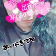 ヒメ日記 2025/04/13 14:10 投稿 ほなみ 名古屋ちゃんこ