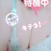 ヒメ日記 2025/04/20 14:37 投稿 ほなみ 名古屋ちゃんこ