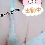 ヒメ日記 2025/04/20 16:33 投稿 ほなみ 名古屋ちゃんこ