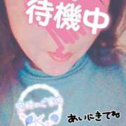 ヒメ日記 2025/05/03 15:57 投稿 ほなみ 名古屋ちゃんこ