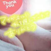 ヒメ日記 2025/05/06 16:54 投稿 ほなみ 名古屋ちゃんこ