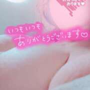 ヒメ日記 2025/05/10 18:17 投稿 ほなみ 名古屋ちゃんこ