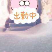 ヒメ日記 2025/05/17 12:07 投稿 ほなみ 名古屋ちゃんこ