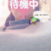 ヒメ日記 2025/05/17 15:27 投稿 ほなみ 名古屋ちゃんこ
