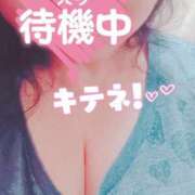 ヒメ日記 2025/05/18 15:17 投稿 ほなみ 名古屋ちゃんこ