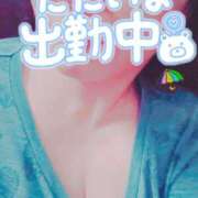 ヒメ日記 2025/05/24 17:27 投稿 ほなみ 名古屋ちゃんこ