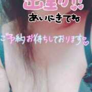 ヒメ日記 2025/05/31 10:47 投稿 ほなみ 名古屋ちゃんこ