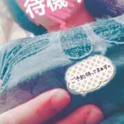 ヒメ日記 2025/06/14 16:39 投稿 ほなみ 名古屋ちゃんこ