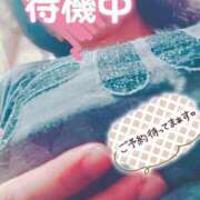 ヒメ日記 2025/06/21 17:07 投稿 ほなみ 名古屋ちゃんこ