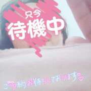 ヒメ日記 2025/07/13 17:57 投稿 ほなみ 名古屋ちゃんこ