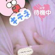 ヒメ日記 2025/07/20 20:27 投稿 ほなみ 名古屋ちゃんこ