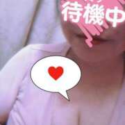 ヒメ日記 2025/08/09 16:47 投稿 ほなみ 名古屋ちゃんこ