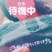 ヒメ日記 2025/08/10 15:42 投稿 ほなみ 名古屋ちゃんこ