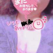 ヒメ日記 2025/08/15 00:47 投稿 ほなみ 名古屋ちゃんこ