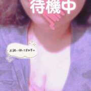 ヒメ日記 2025/09/08 01:37 投稿 ほなみ 名古屋ちゃんこ