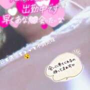 ヒメ日記 2025/09/15 11:30 投稿 ほなみ 名古屋ちゃんこ