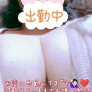 ヒメ日記 2025/09/17 16:09 投稿 ほなみ 名古屋ちゃんこ