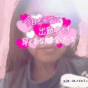 ヒメ日記 2026/02/15 16:18 投稿 ほなみ 名古屋ちゃんこ