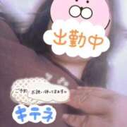 ほなみ 18時まで 名古屋ちゃんこ