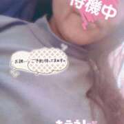 ヒメ日記 2026/03/08 17:01 投稿 ほなみ 名古屋ちゃんこ