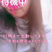 ヒメ日記 2026/03/15 16:15 投稿 ほなみ 名古屋ちゃんこ