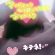 ヒメ日記 2026/03/29 18:15 投稿 ほなみ 名古屋ちゃんこ