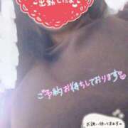 ヒメ日記 2026/04/11 11:58 投稿 ほなみ 名古屋ちゃんこ