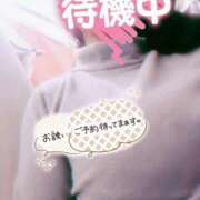 ヒメ日記 2026/04/18 12:39 投稿 ほなみ 名古屋ちゃんこ