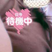 ヒメ日記 2026/05/03 14:58 投稿 ほなみ 名古屋ちゃんこ