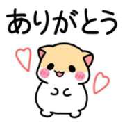 ヒメ日記 2025/01/29 19:17 投稿 たま 水戸デブ専肉だんご＆人妻浮気現場