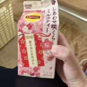 ヒメ日記 2025/02/28 00:26 投稿 たま 水戸デブ専肉だんご＆人妻浮気現場