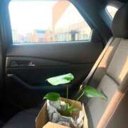 ヒメ日記 2025/02/26 04:36 投稿 そら 札幌回春性感マッサージ倶楽部