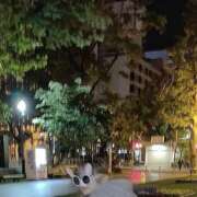 ヒメ日記 2025/03/03 15:38 投稿 そら 札幌回春性感マッサージ倶楽部