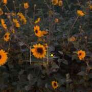 ヒメ日記 2025/04/12 10:48 投稿 そら 札幌回春性感マッサージ倶楽部