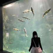 ヒメ日記 2025/04/13 00:52 投稿 そら 札幌回春性感マッサージ倶楽部