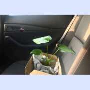 ヒメ日記 2025/09/08 12:08 投稿 そら 札幌回春性感マッサージ倶楽部